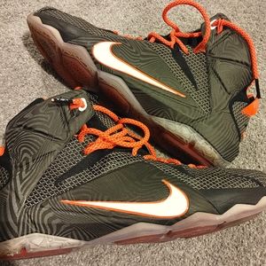 Nike LeBron 12 Court Vision size 12 Like new condition.